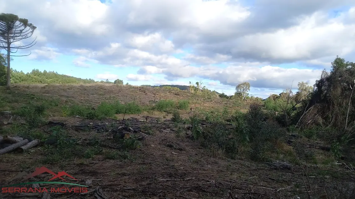 Foto 5 de Terreno / Lote à venda, 20000m2 em Nova Petropolis - RS