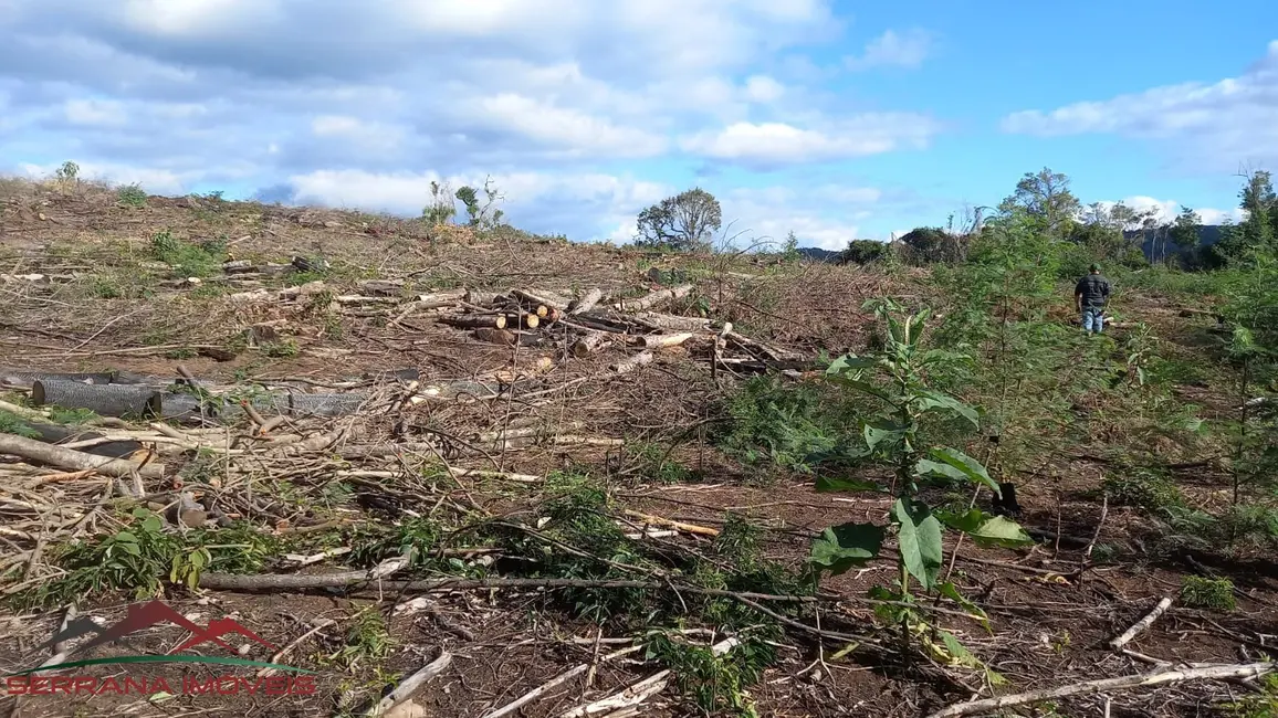 Foto 3 de Terreno / Lote à venda, 20000m2 em Nova Petropolis - RS