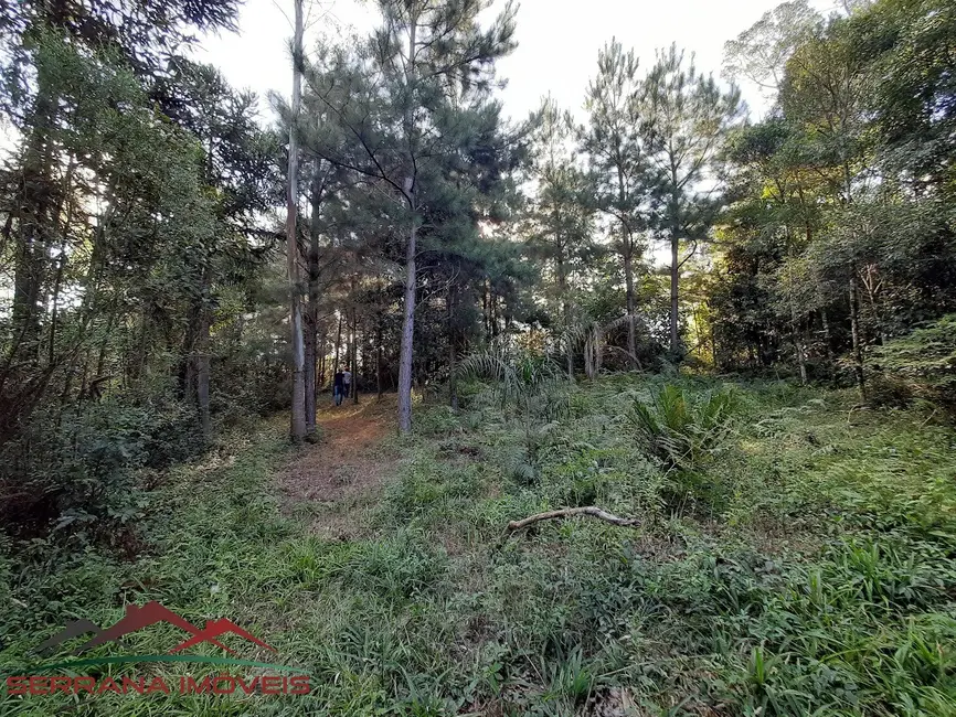 Foto 9 de Terreno / Lote à venda, 20000m2 em Nova Petropolis - RS