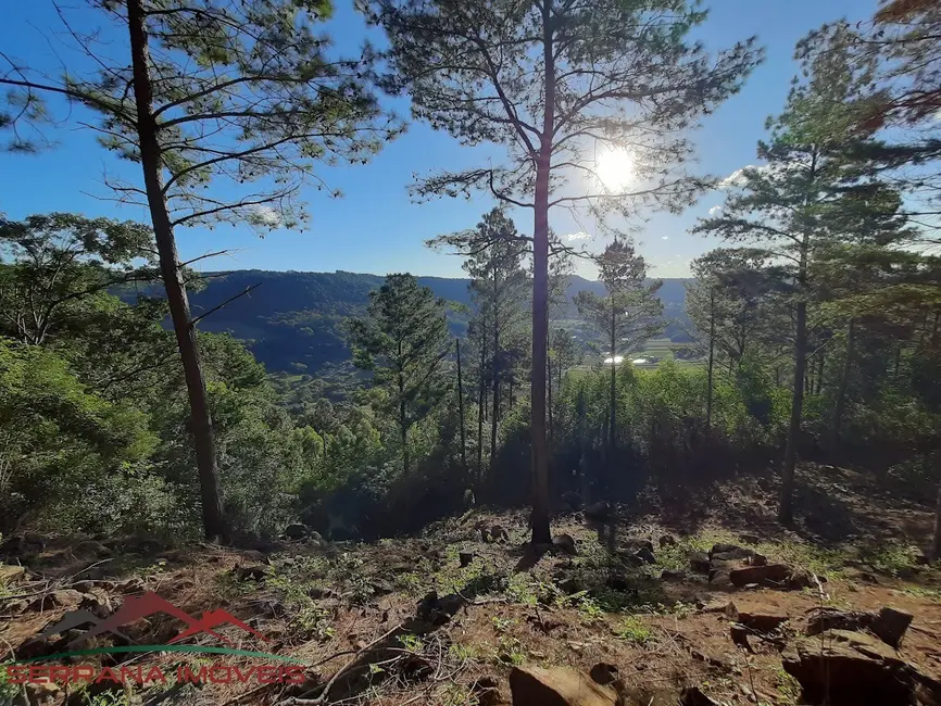 Foto 1 de Terreno / Lote à venda, 20000m2 em Nova Petropolis - RS