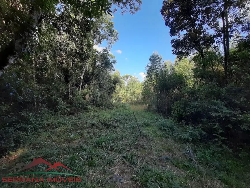 Foto 8 de Terreno / Lote à venda, 20000m2 em Nova Petropolis - RS
