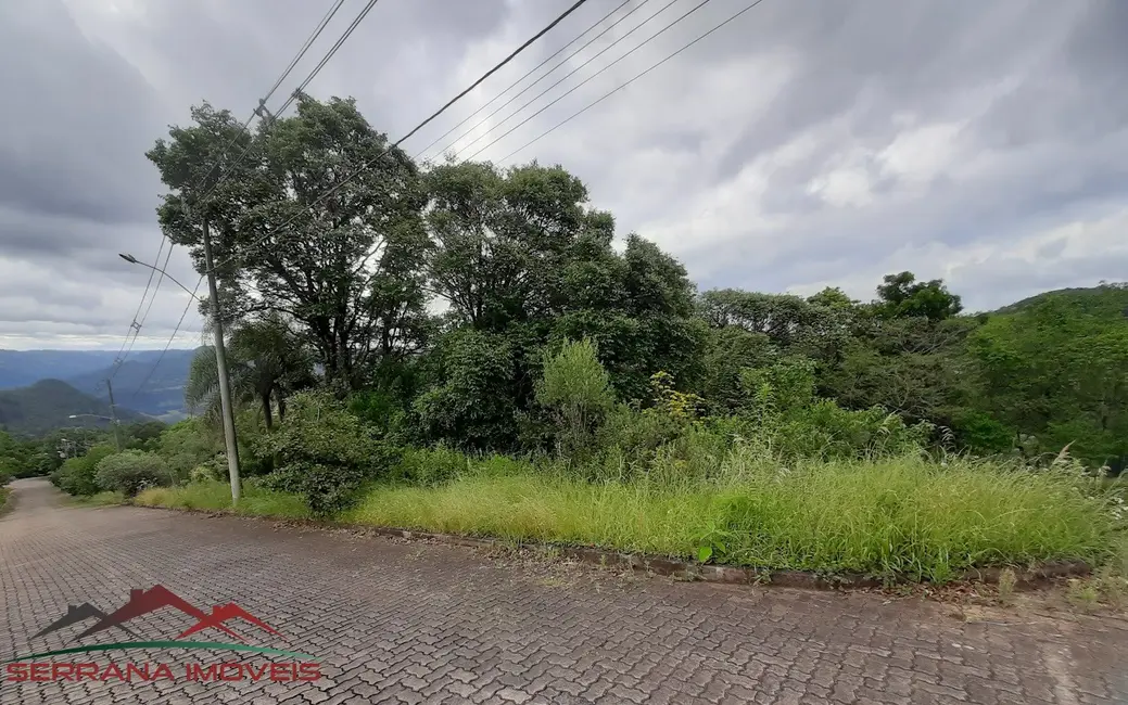 Foto 4 de Terreno / Lote à venda, 490m2 em Nova Petropolis - RS