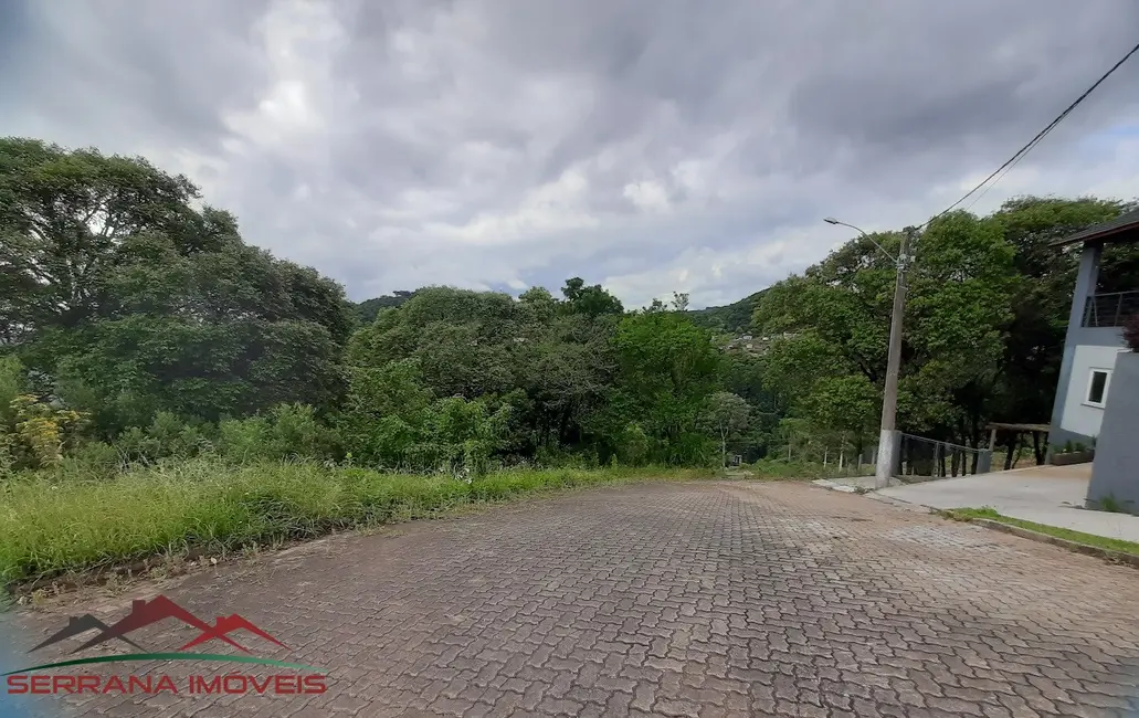 Foto 3 de Terreno / Lote à venda, 490m2 em Nova Petropolis - RS