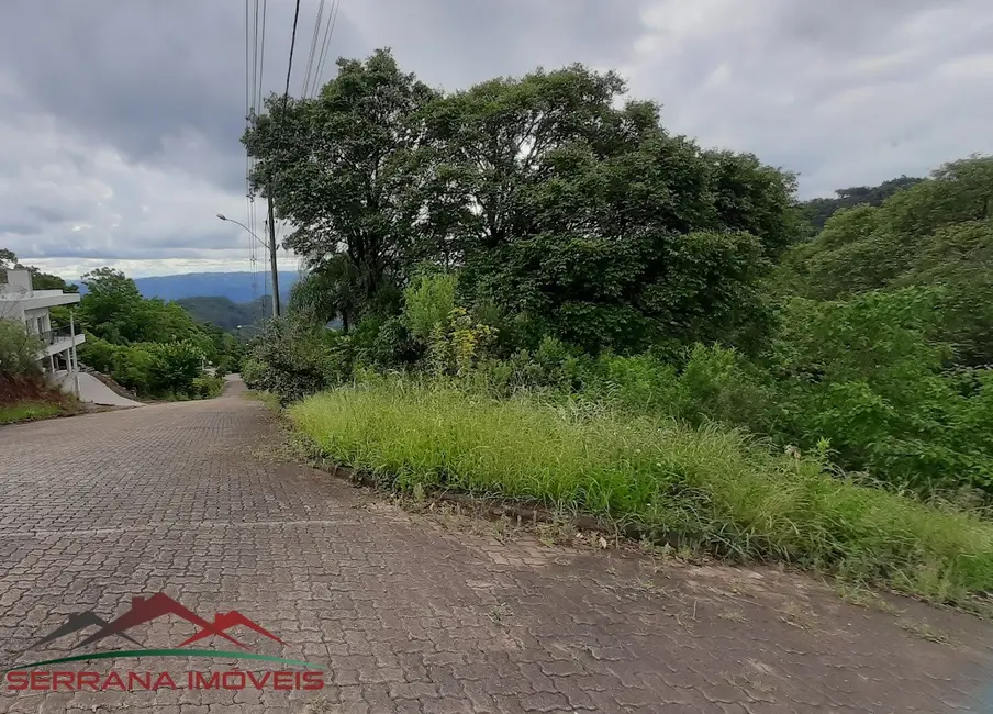 Foto 2 de Terreno / Lote à venda, 490m2 em Nova Petropolis - RS