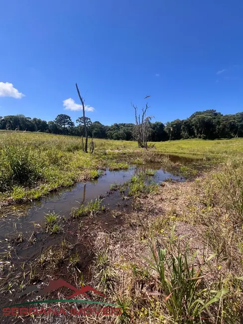 Foto 4 de Terreno / Lote à venda em Nova Petropolis - RS