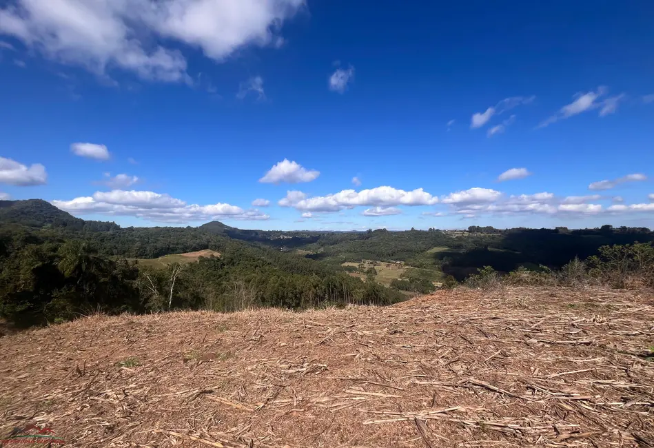 Foto 3 de Terreno / Lote à venda em Nova Petropolis - RS