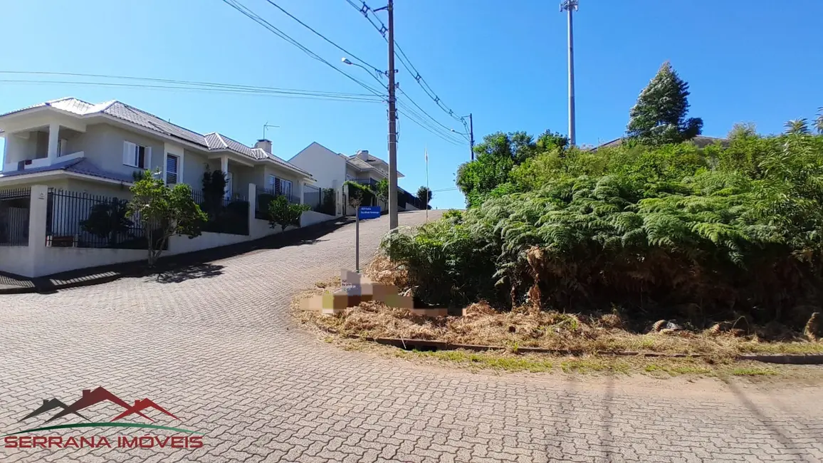 Foto 5 de Terreno / Lote à venda, 450m2 em Nova Petropolis - RS