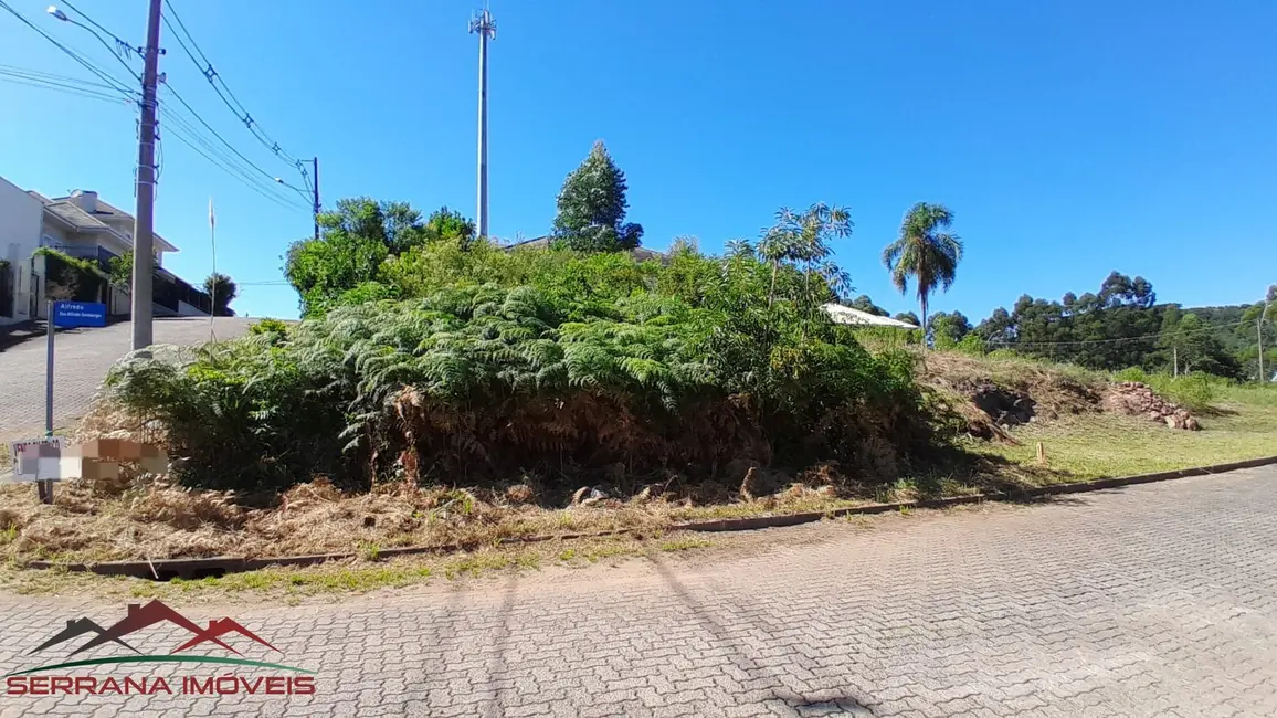 Foto 4 de Terreno / Lote à venda, 450m2 em Nova Petropolis - RS