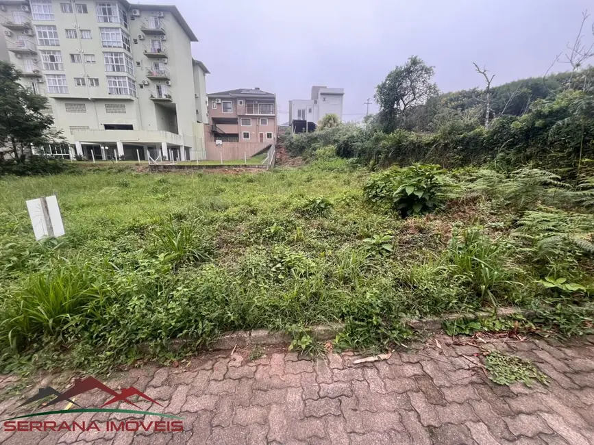 Foto 1 de Terreno / Lote à venda, 361m2 em Nova Petropolis - RS