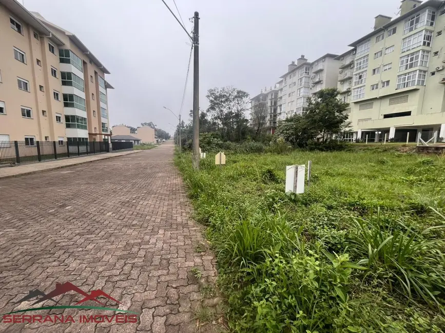 Foto 2 de Terreno / Lote à venda, 361m2 em Nova Petropolis - RS
