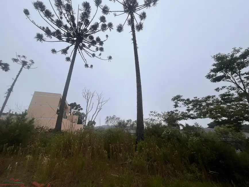 Foto 2 de Terreno / Lote à venda, 360m2 em Nova Petropolis - RS