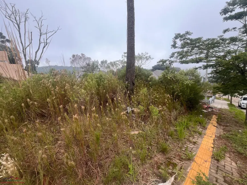 Foto 1 de Terreno / Lote à venda, 360m2 em Nova Petropolis - RS