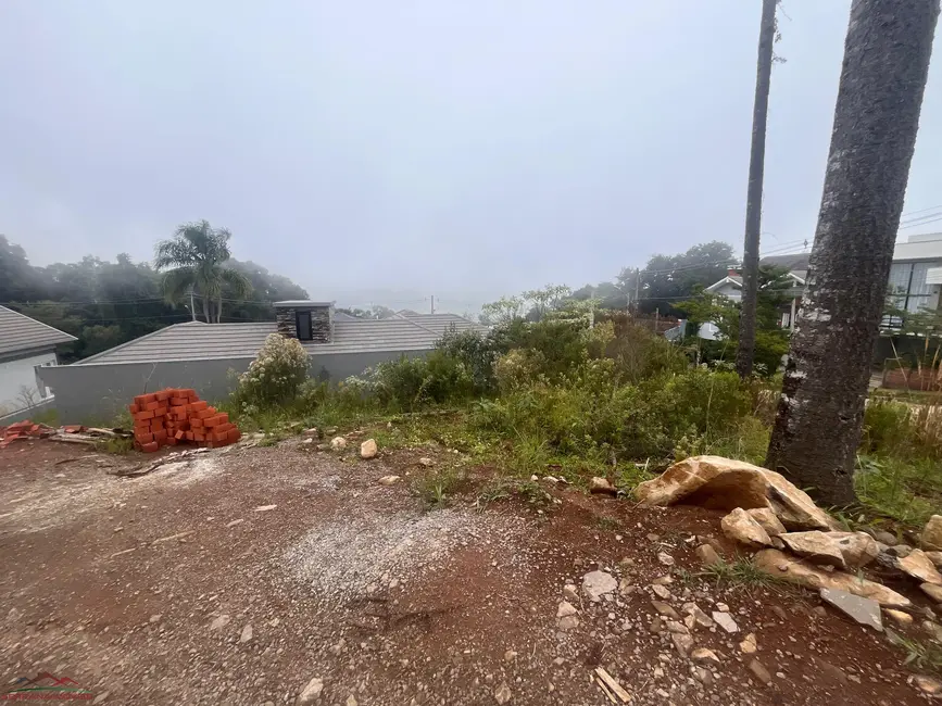 Foto 3 de Terreno / Lote à venda, 360m2 em Nova Petropolis - RS