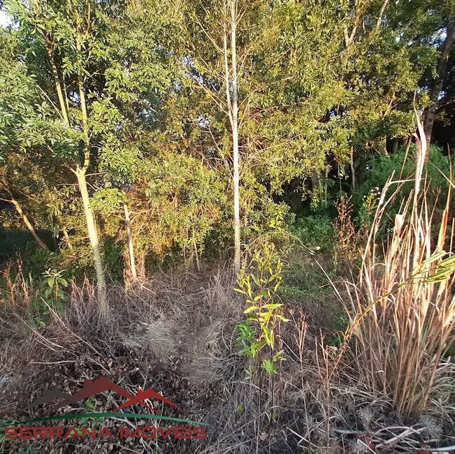 Foto 7 de Terreno / Lote à venda, 525m2 em Nova Petropolis - RS