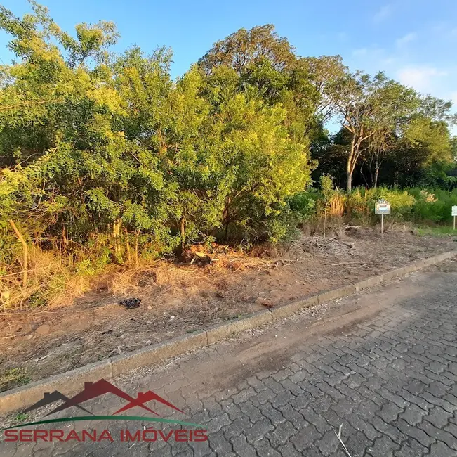 Foto 3 de Terreno / Lote à venda, 525m2 em Nova Petropolis - RS