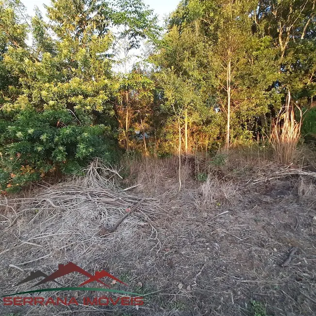 Foto 6 de Terreno / Lote à venda, 525m2 em Nova Petropolis - RS