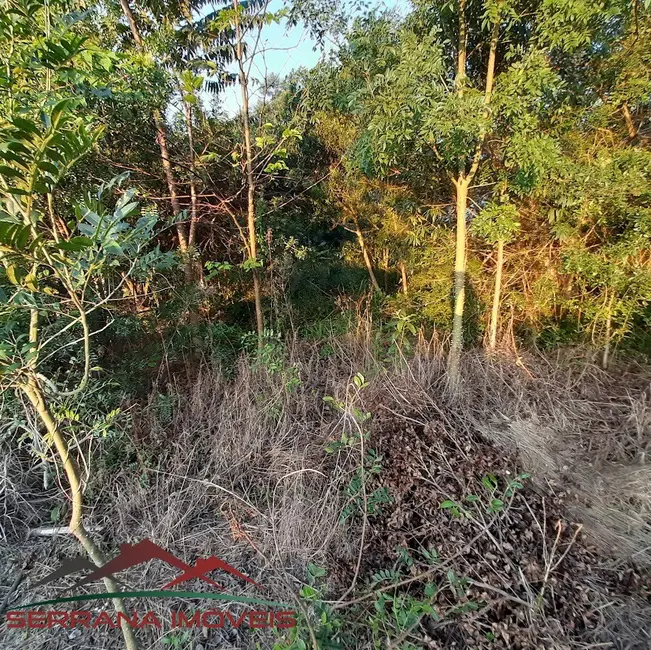 Foto 8 de Terreno / Lote à venda, 525m2 em Nova Petropolis - RS