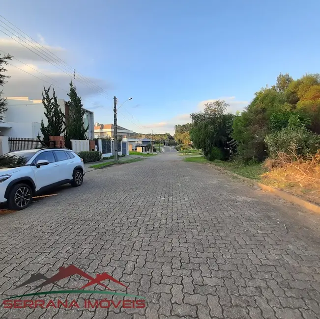 Foto 4 de Terreno / Lote à venda, 525m2 em Nova Petropolis - RS