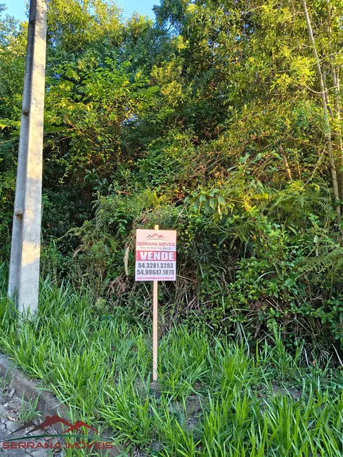 Foto 1 de Terreno / Lote à venda, 390m2 em Nova Petropolis - RS