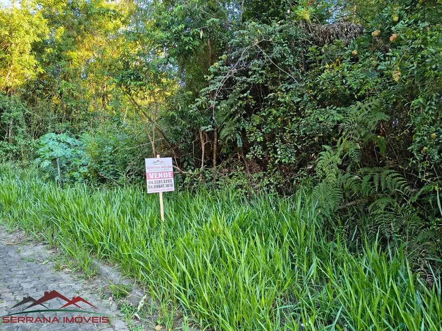 Foto 1 de Terreno / Lote à venda, 390m2 em Nova Petropolis - RS