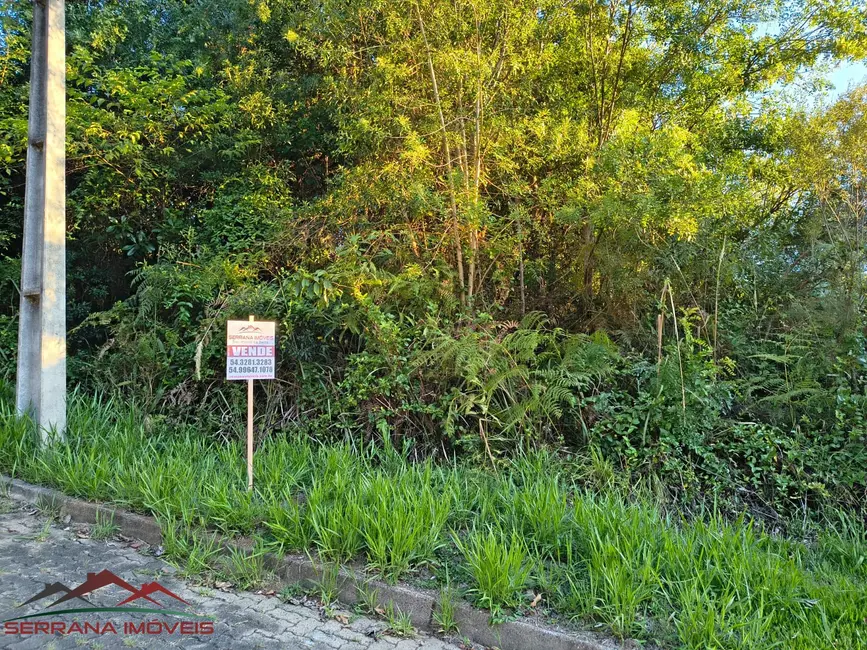 Foto 2 de Terreno / Lote à venda, 390m2 em Nova Petropolis - RS