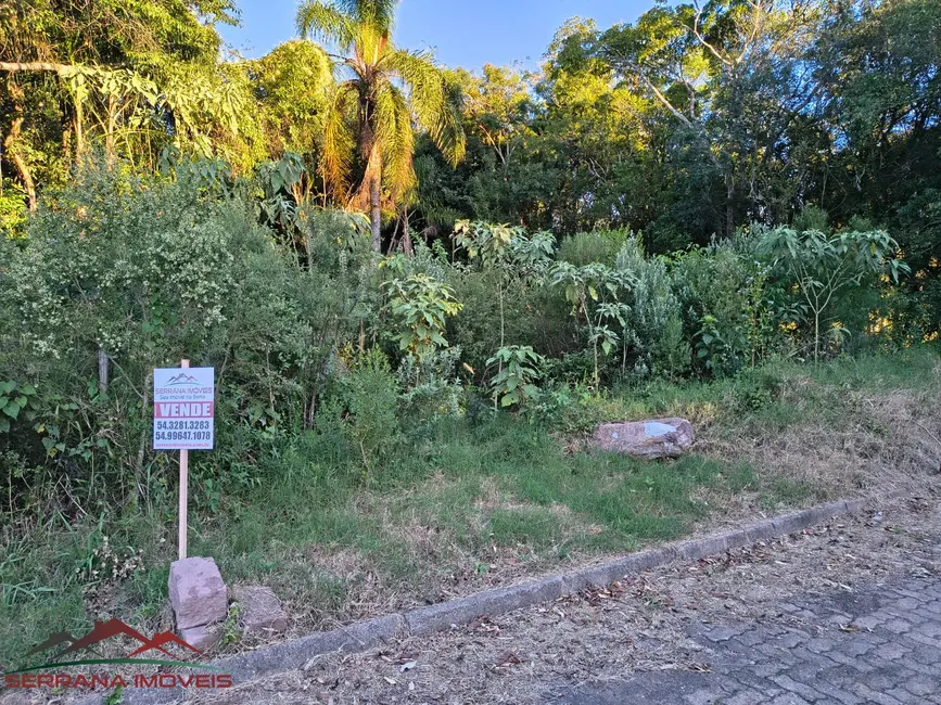 Foto 3 de Terreno / Lote à venda, 522m2 em Nova Petropolis - RS