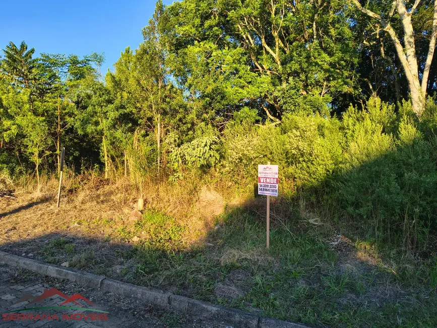Foto 1 de Terreno / Lote à venda, 522m2 em Nova Petropolis - RS