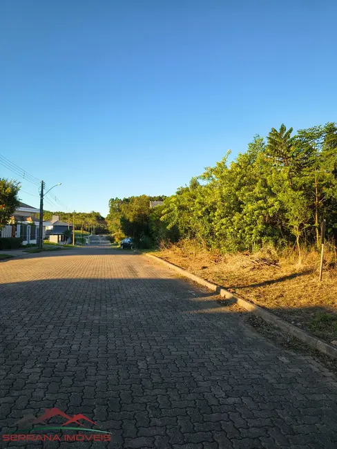 Foto 2 de Terreno / Lote à venda, 522m2 em Nova Petropolis - RS