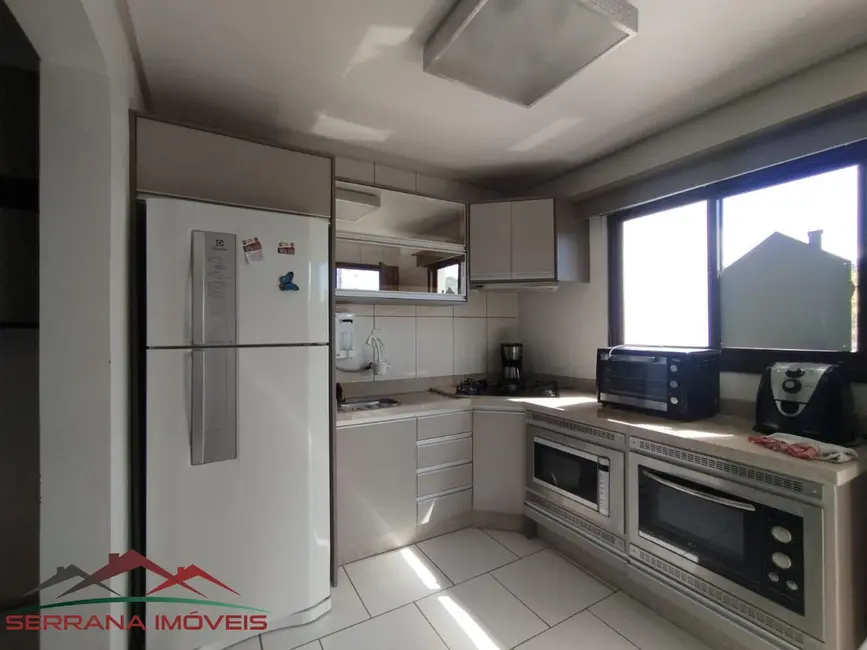 Foto 3 de Apartamento com 2 quartos à venda, 48m2 em Nova Petropolis - RS