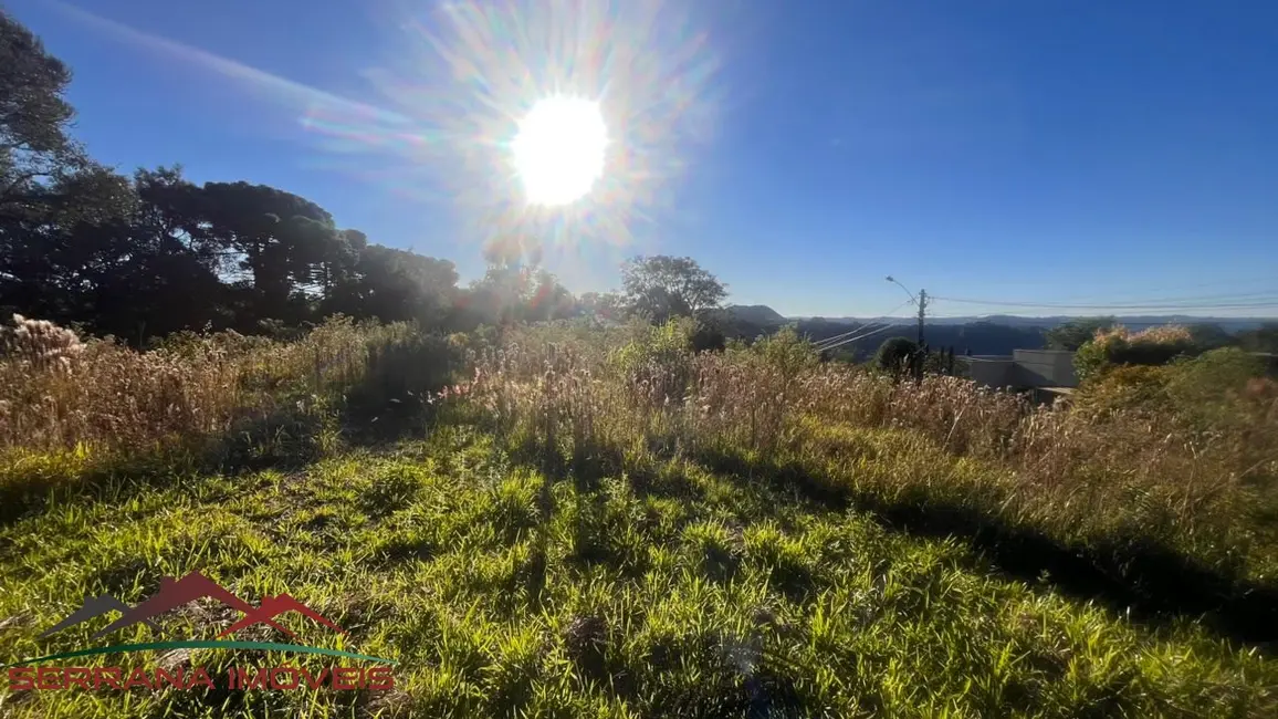 Foto 8 de Terreno / Lote à venda, 948m2 em Nova Petropolis - RS
