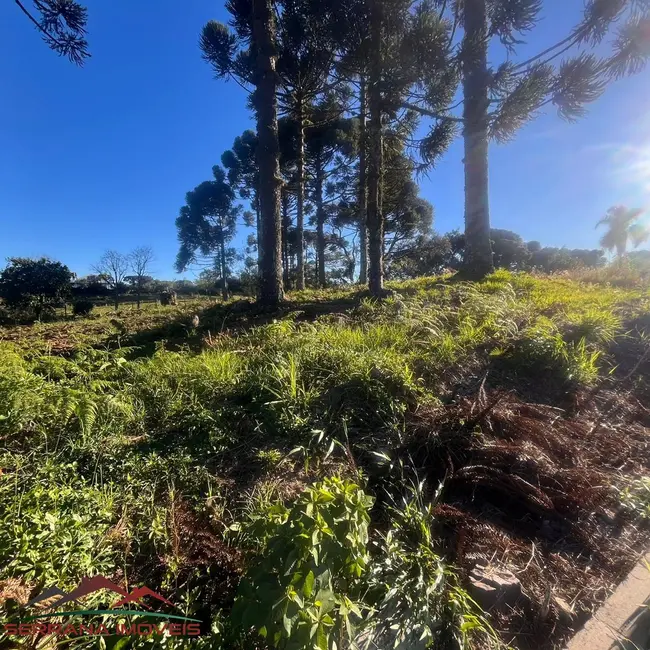 Foto 2 de Terreno / Lote à venda, 948m2 em Nova Petropolis - RS