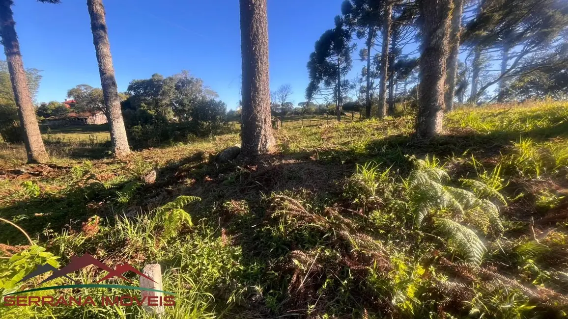 Foto 9 de Terreno / Lote à venda, 948m2 em Nova Petropolis - RS