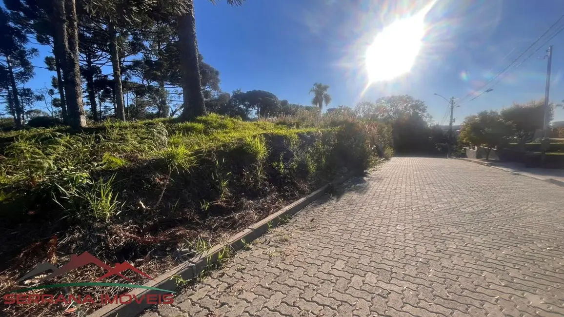 Foto 6 de Terreno / Lote à venda, 948m2 em Nova Petropolis - RS