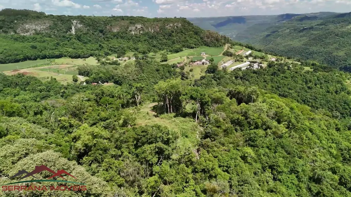 Foto 2 de Terreno / Lote à venda, 32532m2 em Nova Petropolis - RS