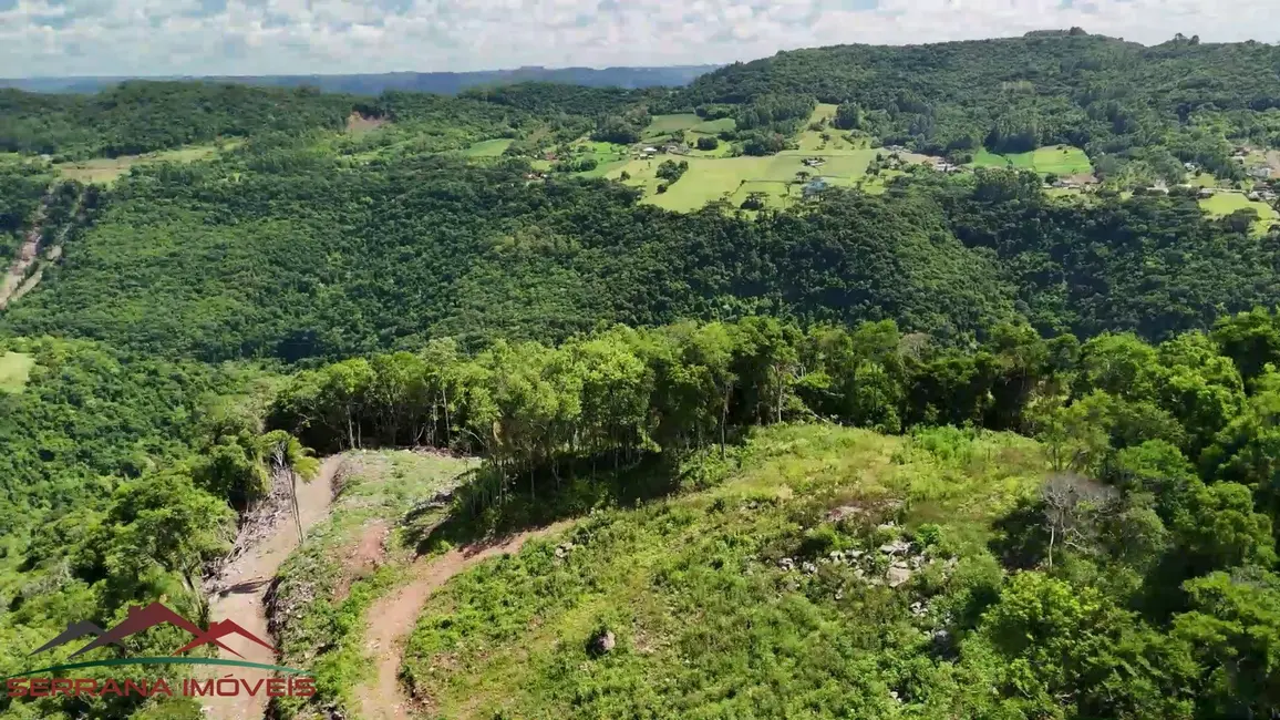 Foto 6 de Terreno / Lote à venda, 32532m2 em Nova Petropolis - RS