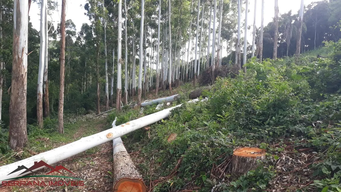 Terreno / Lote à venda, 89606m2 em Nova Petropolis - RS - imagem 7 Foto 7 de Terreno / Lote à venda, 89606m2 em Nova Petropolis - RS