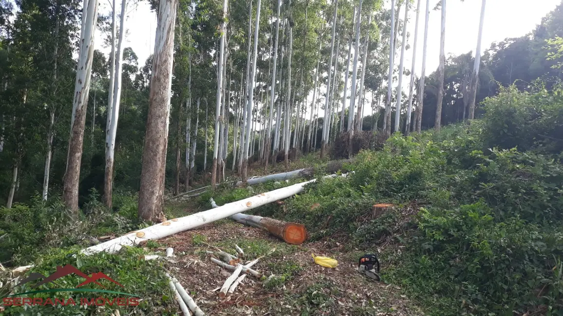 Terreno / Lote à venda, 89606m2 em Nova Petropolis - RS - imagem 5 Foto 5 de Terreno / Lote à venda, 89606m2 em Nova Petropolis - RS