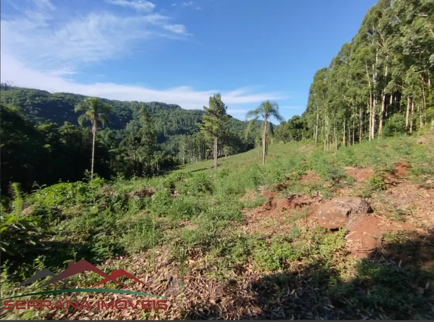 Terreno / Lote à venda, 89606m2 em Nova Petropolis - RS - imagem 3 Foto 3 de Terreno / Lote à venda, 89606m2 em Nova Petropolis - RS