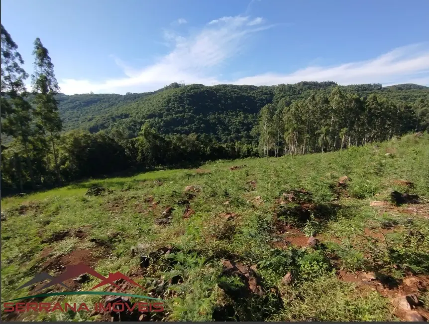 Terreno / Lote à venda, 89606m2 em Nova Petropolis - RS - imagem 9 Foto 9 de Terreno / Lote à venda, 89606m2 em Nova Petropolis - RS