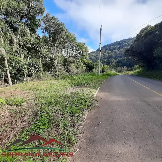 Foto 3 de Terreno / Lote à venda, 3585m2 em Nova Petropolis - RS