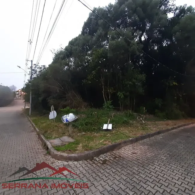 Foto 1 de Terreno / Lote à venda, 509m2 em Nova Petropolis - RS