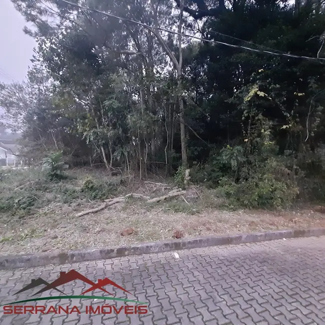 Foto 3 de Terreno / Lote à venda, 509m2 em Nova Petropolis - RS