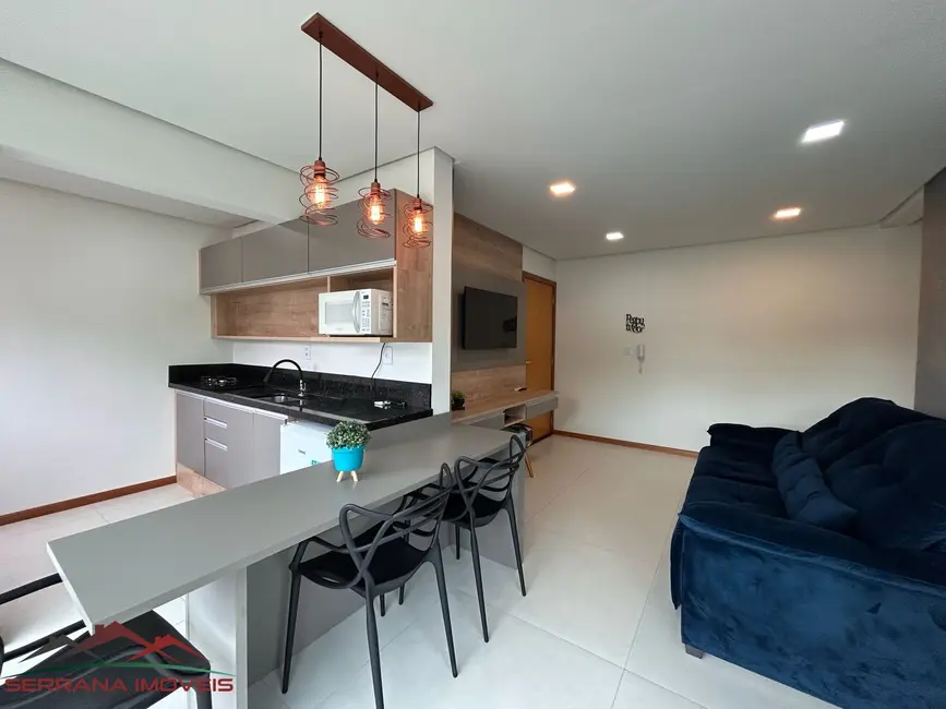 Foto 3 de Apartamento com 2 quartos para alugar, 70m2 em Nova Petropolis - RS