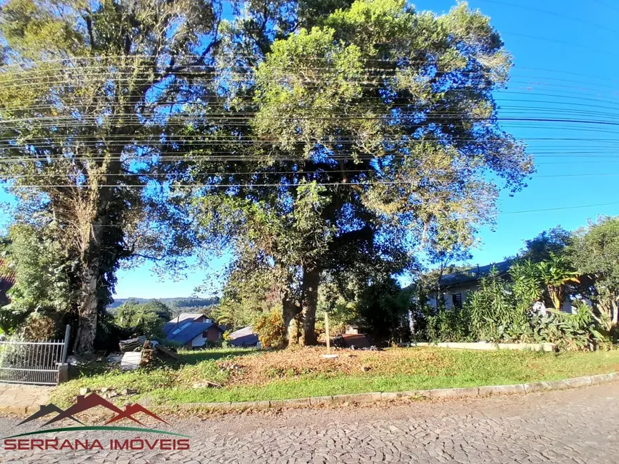 Foto 2 de Terreno / Lote à venda, 585m2 em Nova Petropolis - RS