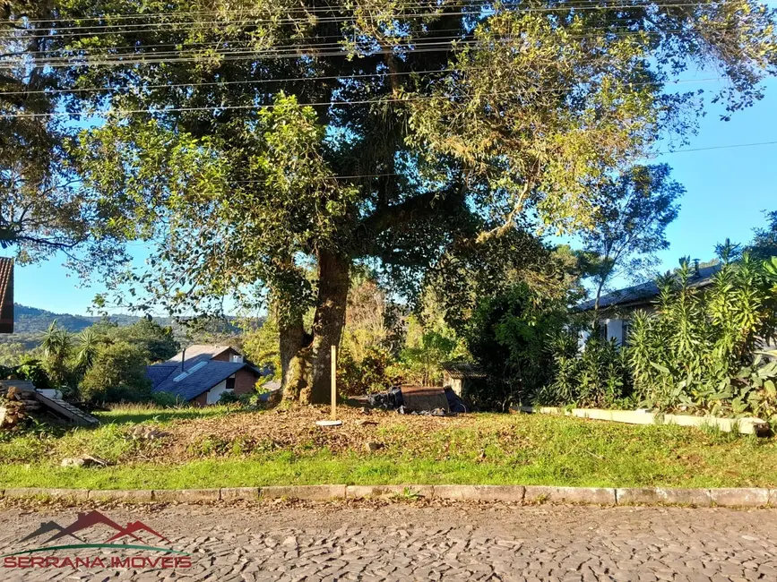 Foto 1 de Terreno / Lote à venda, 585m2 em Nova Petropolis - RS