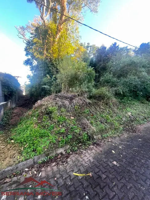 Foto 5 de Terreno / Lote à venda, 525m2 em Nova Petropolis - RS