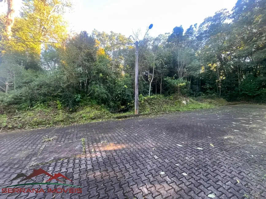 Foto 2 de Terreno / Lote à venda, 525m2 em Nova Petropolis - RS
