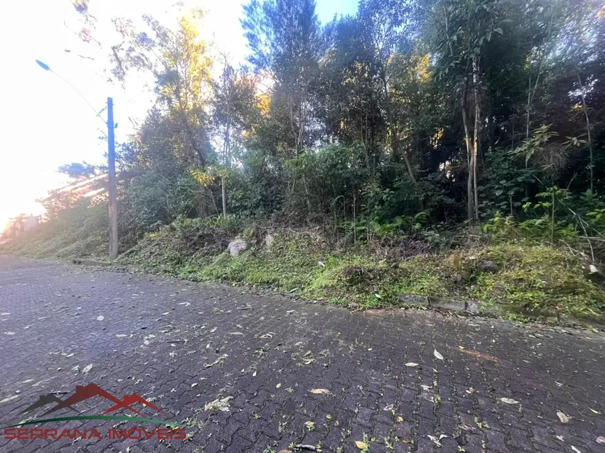 Foto 3 de Terreno / Lote à venda, 525m2 em Nova Petropolis - RS