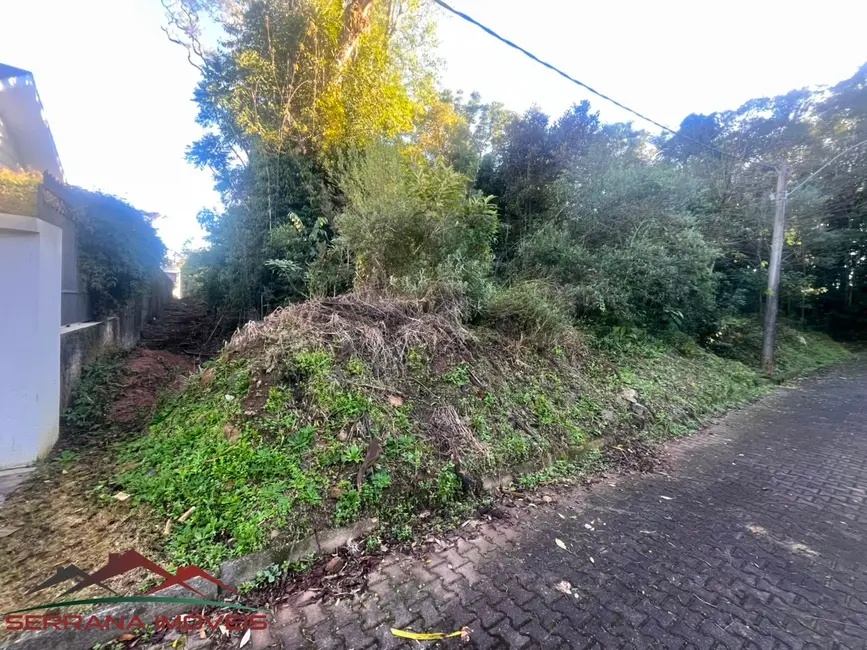 Foto 4 de Terreno / Lote à venda, 525m2 em Nova Petropolis - RS