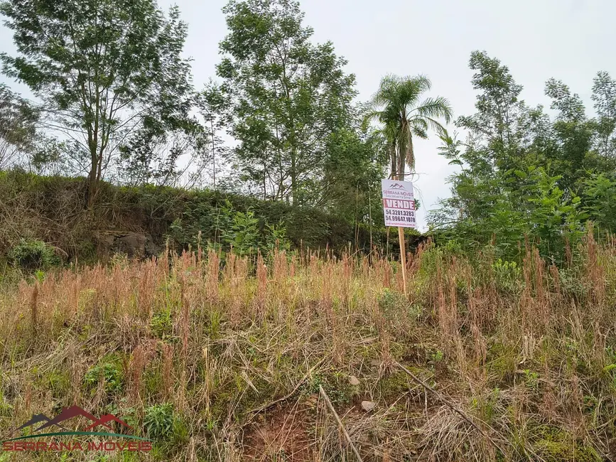 Terreno / Lote à venda, 659m2 em Nova Petropolis - RS - imagem 5 Foto 5 de Terreno / Lote à venda, 659m2 em Nova Petropolis - RS